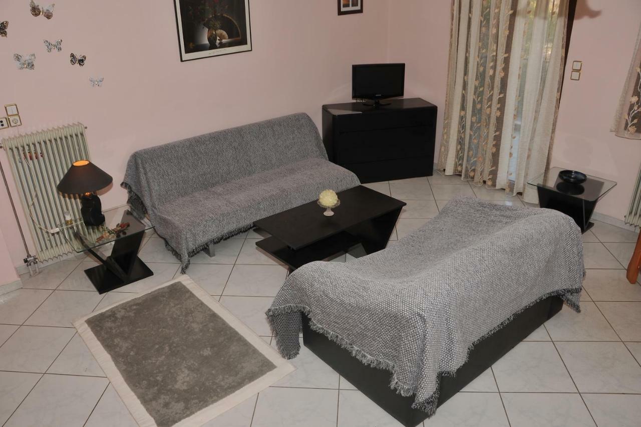 Eagle'S Family Apartment Kalampaka 외부 사진